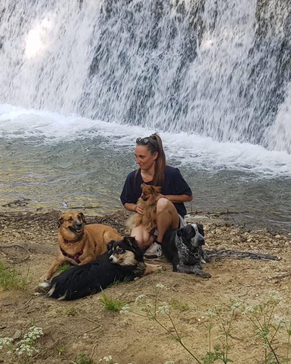 Une éducatrice assise au bord de l'eau, au pied d'une cascade, entourée de cinq chiens calmes
