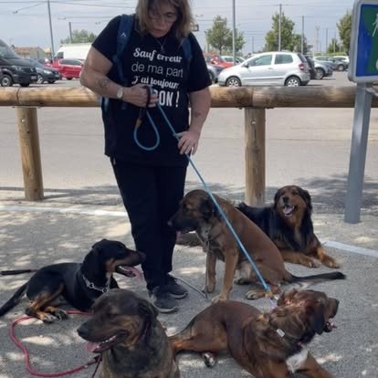 Une femme debout tient cinq chiens calmes, couchés à ses pieds, en bord de parking