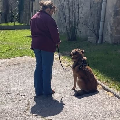 Une femme debout dans un pré, avec un chien assis calmement à côté d'elle